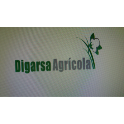 Programa de Prácticas DASAC