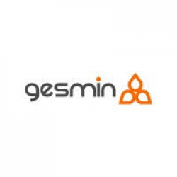Programa de Prácticas Gesmin
