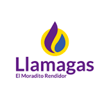  Programa de Prácticas Profesional - LLAMAGAS